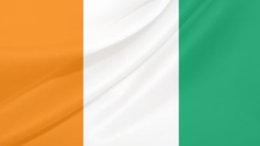 слоновая кость